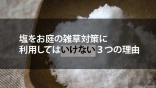 庭雑草対策塩使用